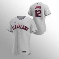 Men's Cleveland Indians Francisco Lindor Authentic Gray 2020 Road Jersey